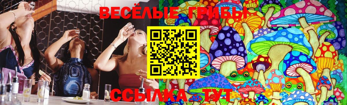 Славянск-на-Кубани  Псилоцибиновые грибы MAGIC MUSHROOMS  Галлюциногенные грибы Magic Shrooms  Вход с VPN 